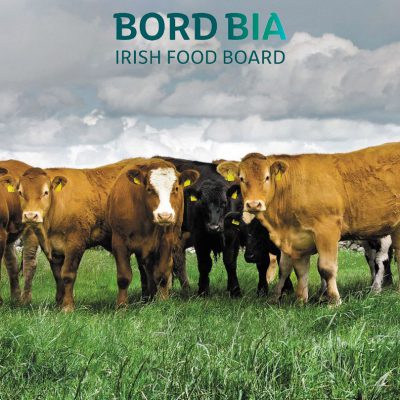Meine Referenzen Bord Bia Irish Food Board